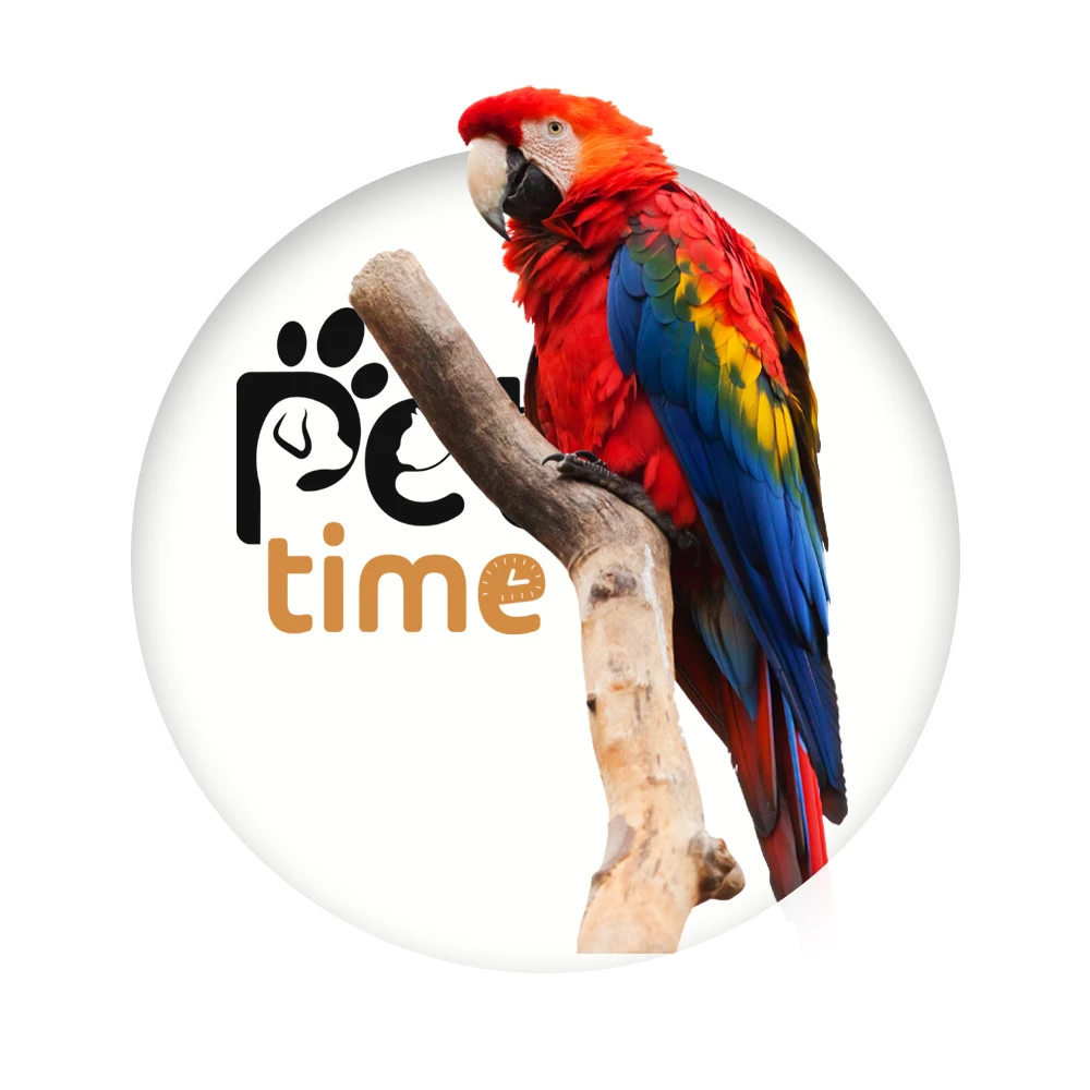 🦜Bird